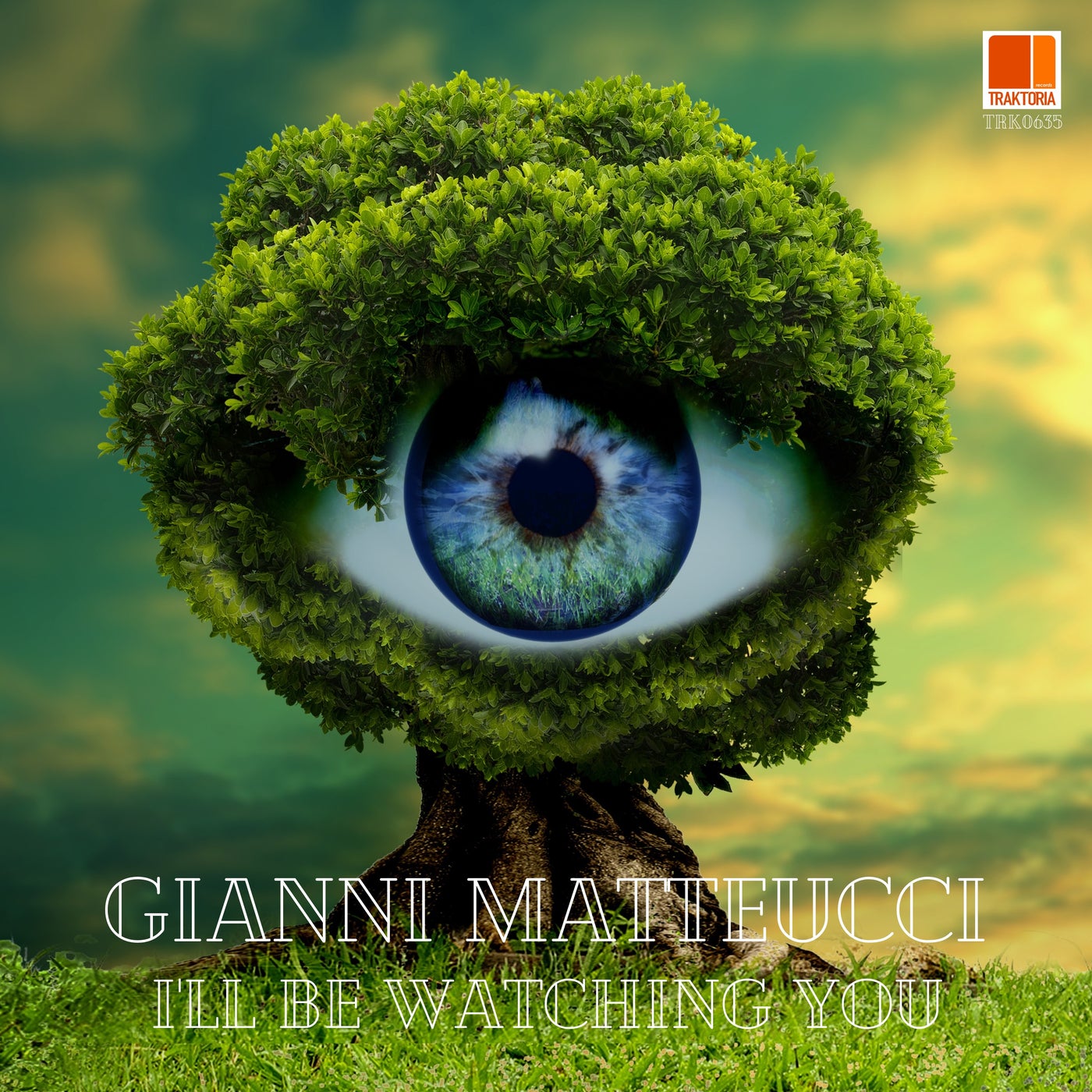 Gianni Matteucci - I'll be watching you [TRK0635]